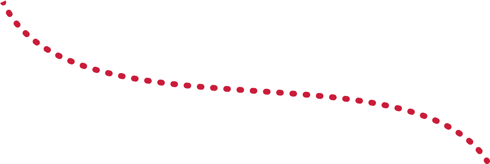קו התקדמות המתאר את שלבי הלמידה במכללה האקדמית הרצוג