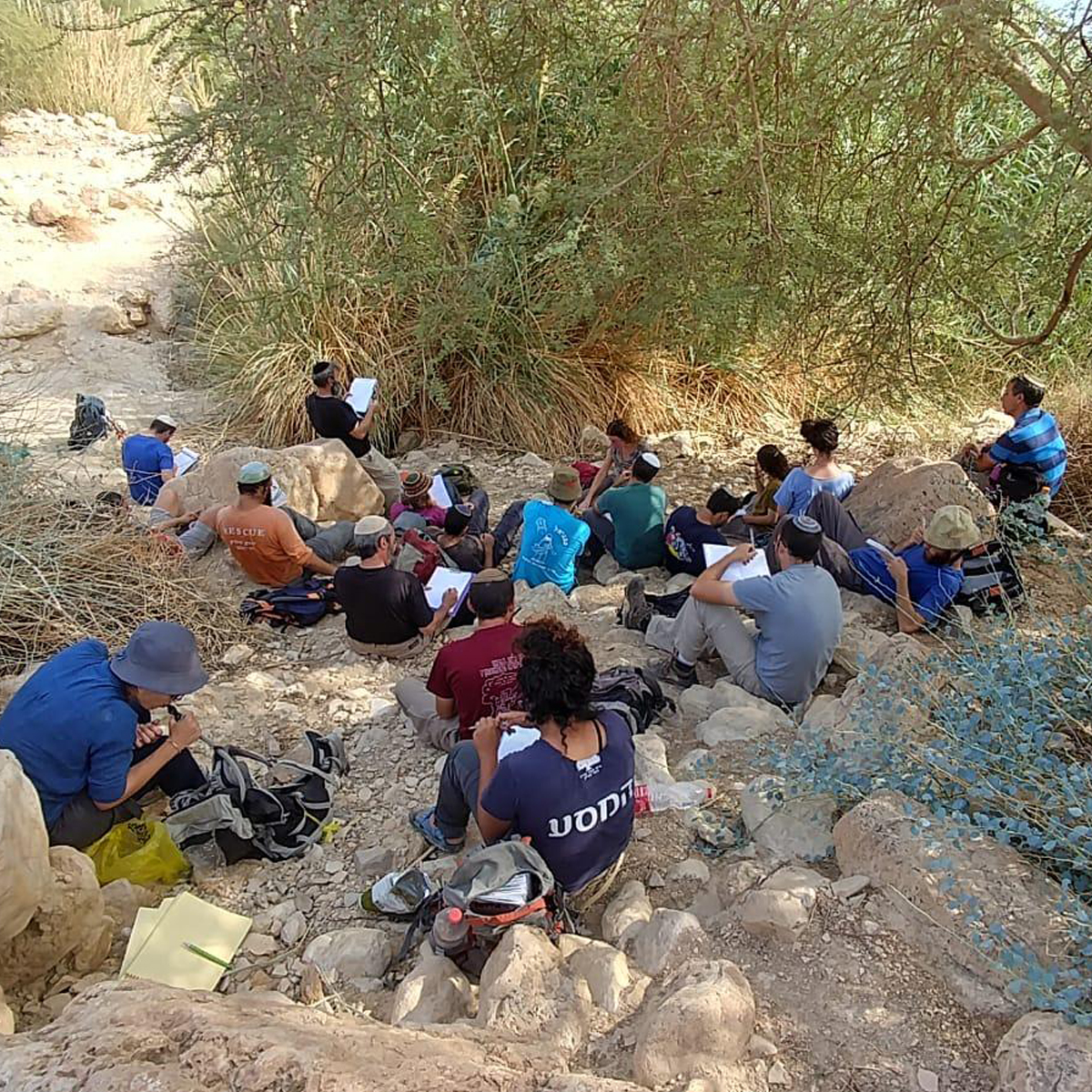 WhatsApp-Image-2018-11-08-at-10.13.32 copy